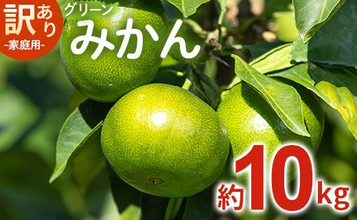 みかん [2026年9月中旬より順次配送]家庭用 訳あり グリーンみかん 約10kg 家庭用 フルーツ みかん 柑橘 be-0113