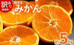 みかん 極早生 5kg 家庭用 訳あり 極早生みかん 約5kg - 家庭用 フルーツ みかん 柑橘 be-0068