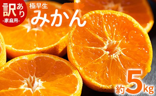 家庭用 訳あり 極早生みかん 約5kg - 送料無料 訳アリ フルーツ 果物 くだもの 果実 甘い 酸味 旬 ジュース ママレード マーマレード おいしい 美味しい かなや農園 合同会社Benifare 国産 特産品 高知県 香南市 常温 be-0024