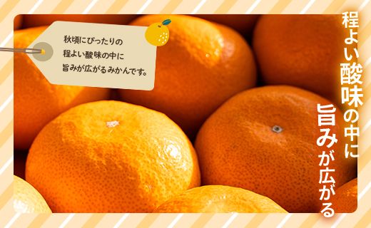 家庭用 訳あり 極早生みかん 約5kg - 送料無料 訳アリ フルーツ 果物 くだもの 果実 甘い 酸味 旬 ジュース ママレード マーマレード おいしい 美味しい かなや農園 合同会社Benifare 国産 特産品 高知県 香南市 常温 be-0024