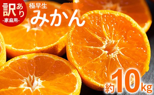 家庭用 訳あり 極早生みかん 約10kg - 送料無料 温州みかん デザート 早生 お取り寄せ 傷 キズ ジャム ジュース ママレード マーマレード 酸味 糖度 おいしい 美味しい やみつき 濃厚 のうこう 国産 特産品 高知県 香南市 be-0027