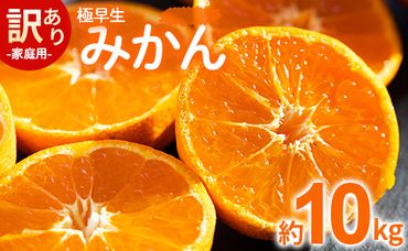 家庭用 訳あり 極早生みかん 約10kg - 送料無料 温州みかん デザート 早生 お取り寄せ 傷 キズ ジャム ジュース ママレード マーマレード 酸味 糖度 おいしい 美味しい やみつき 濃厚 のうこう 国産 特産品 高知県 香南市 be-0027