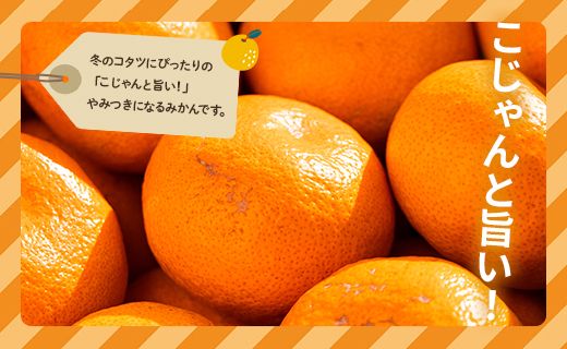 【数量限定】家庭用 訳あり 早生みかん 約10kg - 送料無料 フルーツ くだもの 果物  柑橘 甘いかなや農園 合同会社Benifare ジュース マーマレード 酸味 糖度 おいしい 美味しい やみつき 濃厚 のうこう 高知県 香南市 be-0057