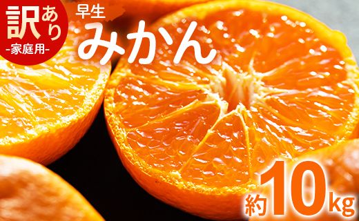 【数量限定】家庭用 訳あり 早生みかん 約10kg - 送料無料 フルーツ くだもの 果物  柑橘 甘いかなや農園 合同会社Benifare ジュース マーマレード 酸味 糖度 おいしい 美味しい やみつき 濃厚 のうこう 高知県 香南市 be-0057