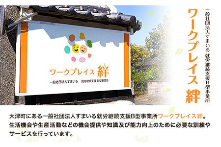熊本県産 ブランド豚 えころとん使用 とにかく美味しいギフトセット 合計800g以上 一般社団法人すまいる ワークプレイス絆 《90日以内に出荷予定(土日祝除く)》 味噌豚 とんかつ コロッケ えころとん ギフト 豚肉---so_fkizuna1_90d_22_13500_800g---
