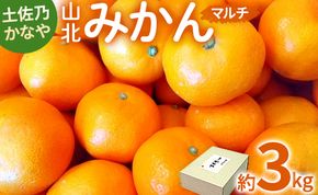 【年末配送可能】【3kg】みかん 土佐乃かなや マルチ 山北みかん - 柑橘 ミカン 果物 フルーツ のし かなや農園 合同会社Benifare be-0062