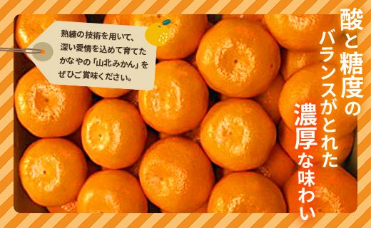 【数量限定】土佐乃かなや マルチ 山北みかん 約3kg - 送料無料 フルーツ 果物 くだもの 温州みかん ミカン 柑橘 甘い おいしい 旬 季節限定 かなや農園 合同会社Benifare 国産 特産品 高知県 香南市 be-0016