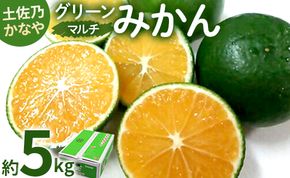 【数量限定】土佐乃かなや マルチ グリーンみかん 約5kg - ミカン 蜜柑 柑橘 果実 果物 フルーツ 送料無料 のし 熨斗 酸味 甘い ジューシー みずみずしい 果汁 爽やか be-0061