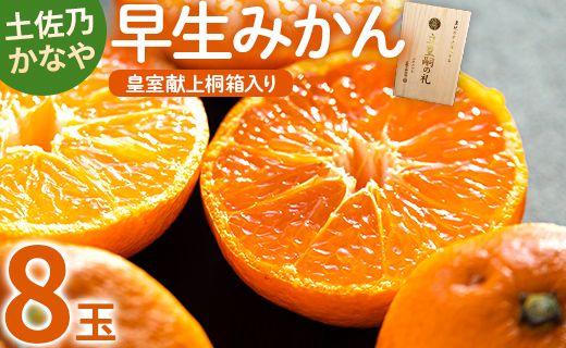 みかん 早生 8玉 桐箱入り 土佐乃かなや 早生みかん(立皇嗣の礼の刻印入桐箱使用) 贈答用 おくりものに最適 数量限定 11月配送開始 be-0066