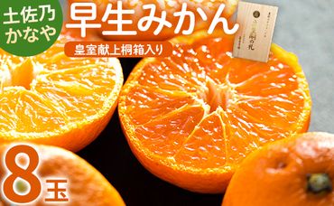 みかん 早生 8玉 桐箱入り 土佐乃かなや 早生みかん(立皇嗣の礼の刻印入桐箱使用) 贈答用 おくりものに最適 数量限定 11月配送開始 be-0022