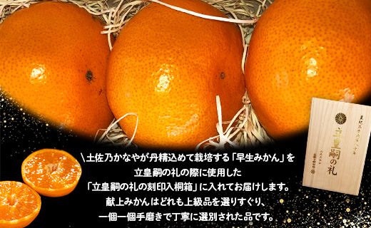 みかん 早生 8玉 桐箱入り 土佐乃かなや 早生みかん(立皇嗣の礼の刻印入桐箱使用) 贈答用 おくりものに最適 数量限定 11月配送開始 be-0022