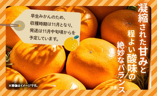 みかん 早生 8玉 桐箱入り 土佐乃かなや 早生みかん(立皇嗣の礼の刻印入桐箱使用) 贈答用 おくりものに最適 数量限定 11月配送開始 be-0066