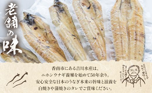 【3カ月定期便】高知県産鰻の白焼き130～150ｇ×2尾 合計6尾 エコ包装 - 鰻 ウナギ 有頭 つまみ ご飯のお供 たれ 簡易包装 Wyw-0071