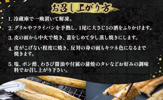 【3カ月定期便】高知県産鰻の白焼き130～150ｇ×2尾 合計6尾 エコ包装 - 鰻 ウナギ 有頭 つまみ ご飯のお供 たれ 簡易包装 Wyw-0071