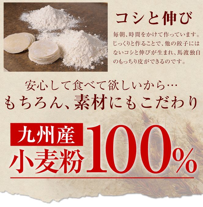 【宮崎空港で大人気!】TV番組で餃子日本一獲得!＜餃子の馬渡馬渡のもっちり餃子40個と手羽餃子9本セット＞翌月末迄に順次出荷【c014_mw_x3】 餃子の馬渡 ぎょうざ ギョウザ 手羽先餃子