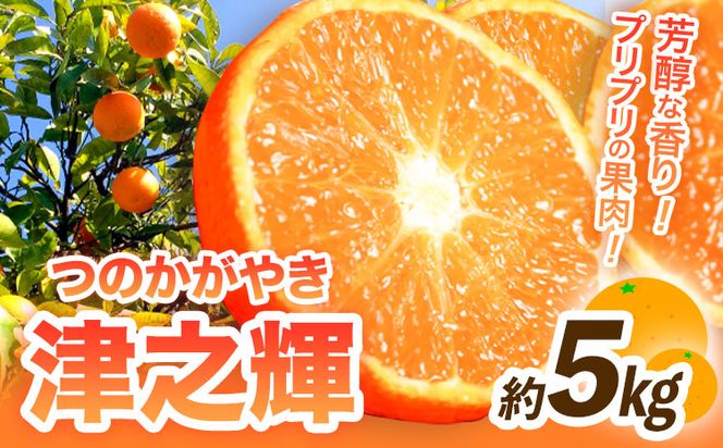 【先行予約】津之輝(つのかがやき) 約5kg 株式会社魚鶴商店《2026年2月上旬～3月中旬頃出荷予定》 和歌山県 日高町 柑橘 フルーツ---wsh_uot98_2j3c_25_16000_5kg---