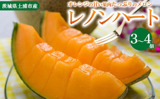 【先行予約】レノンハート3～4個　※離島への配送不可　※2026年5月下旬～6月下旬頃に順次発送予定