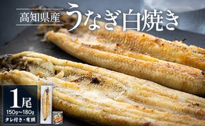 高知県産うなぎの白焼き 150～180ｇ×1尾 - エコ包装 国産 うなぎ 白焼き 鰻 冷凍 高知 yw-0113