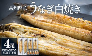 うなぎ白焼 4尾 高知県産うなぎの白焼き 150～180ｇ×4尾 - エコ包装 国産 うなぎ 白焼き 鰻 冷凍 高知 yw-0059