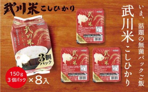 山梨県産 武川米 こしひかり 無菌パック ご飯 150g×24食分(計3.6kg) 小分け レトルト ご飯パック 115-005