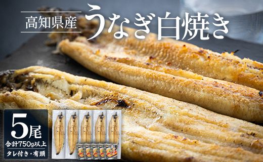 高知県産うなぎの白焼き 5尾 合計750g以上(1尾150〜180g)タレ付き エコ包装 - 鰻 ウナギ 内祝い 美味しい おいしい おとりよせ お取り寄せ グルメ 晩酌 yw-0117