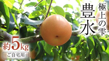 極上の雫 『 豊水 』 5kg ( 自家用 ) フルーツ 果物 国産 日本産 梨 ナシ なし 和梨 [DJ002ci]