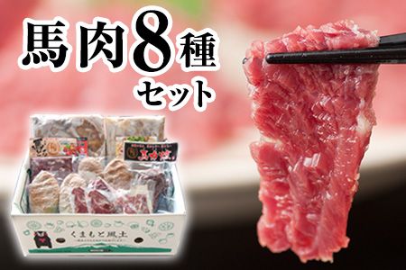 純国産馬肉8種セット 計2200g[60日以内に出荷予定(土日祝除く)] 熊本肥育 2年連続農林水産大臣賞受賞 送料無料 馬刺し 馬肉 馬スジ ホルモン 燻製 霜降り ハンバーグ 熊本県長洲町---ng_fba8syu_60d_r7_25000_2200g---