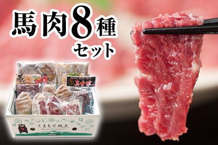 純国産馬肉8種セット 計2200g[60日以内に出荷予定(土日祝除く)] 熊本肥育 2年連続農林水産大臣賞受賞 送料無料 馬刺し 馬肉 馬スジ ホルモン 燻製 霜降り ハンバーグ 熊本県長洲町---ng_fba8syu_60d_23_25000_2200g---