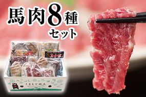 純国産馬肉8種セット 計2200g《60日以内に出荷予定(土日祝除く)》 熊本肥育 2年連続農林水産大臣賞受賞 送料無料 馬刺し 馬肉 馬スジ ホルモン 燻製 霜降り ハンバーグ 熊本県長洲町---ng_fba8syu_60d_r7_25000_2200g---