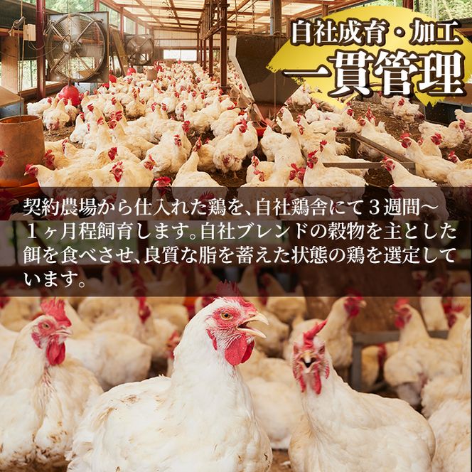 a832 ＜発送時期が選べる＞鹿児島の郷土料理 鶏刺し約1.1kg(モモ肉・ムネ肉混合約220g×5P)さしみしょうゆ付き鳥刺し【中村鶏肉店】姶良市 鳥刺し 鹿児島 鶏肉
