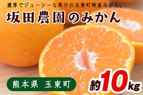 熊本県玉東町産限定『坂田農園』のみかん 大容量 約10kg(2S-Lサイズ) 予約受付中 フルーツ 秋 旬 ジャム ゼリー 玉東町70年のベテラン！濃厚な食味とジューシーな果汁 熊本県玉東町《10月上旬-1月末頃出荷》---sg_sktsmk_af101_25_13500_10kg---