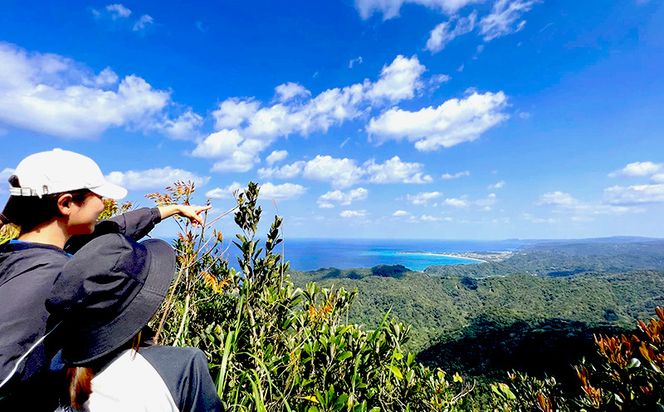 沖縄県北部やんばる・大宜味村最高峰ネクマチヂ岳を登る【3名様】