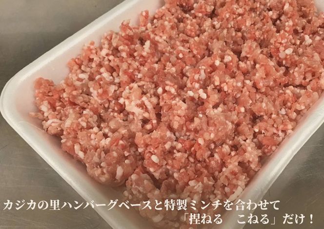 ※ハンバーグ手造りセット(ハンバーグベースと特製ミンチ)