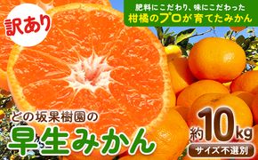 みかん 訳あり 早生 みかん 10kg ( サイズ おまかせ ) どの坂果樹園《12月上旬-1月末頃出荷》和歌山県 日高川町 産地直送 家庭用 規格外 不揃い わけあり みかん 期間限定 旬 2024 フルーツ 果物 柑橘 サイズ 不選別 10キロ 送料無料 訳ありみかん わけありみかん---wshg_wdonowmk_af121_24_11000_10kg---