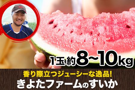 『きよたファーム』のすいか 1玉約8～10kg 熊本県玉名郡玉東町『きよたファーム』すいか フルーツ 果物 熊本県産《5月上旬-7月中旬頃出荷》---sg_farmsuika_a57_24_12500_8kg---