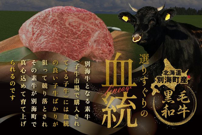 別海和牛 ロースステーキ （250g×2）+ハンバーグ （140g×2）【別海和牛】