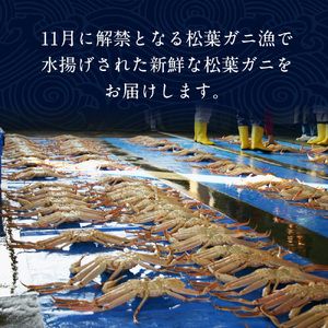 【ボイル】足1本なし松葉ガニ　中1枚（700g前後）【着日指定不可】 ※2024年11月上旬～2025年3月下旬頃に順次発送予定《かに カニ 蟹》