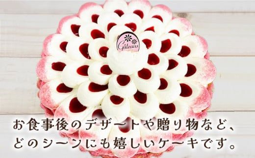 【2026年1月～発送】【舌にあふれる季節感♪こだわりのサクサクタルト】木苺 の ティラミス タルト / タルト ティラミス いちご 18cm 南島原市 / アトリエジジ [SAA003]