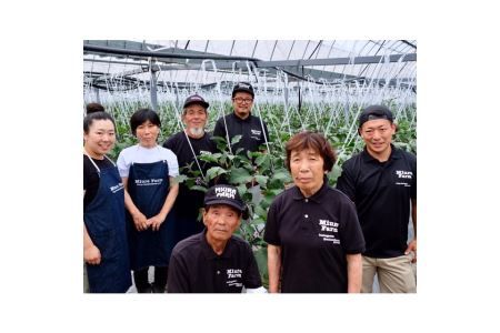 010B142 無添加水なす 米ぬか漬け 6個【新鮮 野菜 泉佐野産 茄子 やさい 高評価 数量限定】