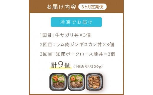 【3ヶ月定期便】レンジで丼！とん久セット ( 牛肉 ラム 豚肉 弁当 総菜 冷凍 簡単調理 )【999-0165】