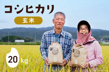 令和5年 コシヒカリ 玄米10kg×2 [農家にしの 石川県 宝達志水町 38600576] 米 お米 ご飯 ごはん