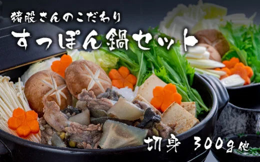 y啪L㍂cszD3-06 ҂̂肷ۂZbgA