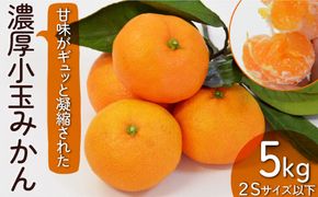 【2026年10月下旬～発送】【甘味が凝縮！】 濃厚 小玉みかん 5kg 温州みかん  2Sサイズ以下 / みかん フルーツ 柑橘 蜜柑 ミカン 南島原市 / 長崎県農産品流通合同会社 [SCB058]