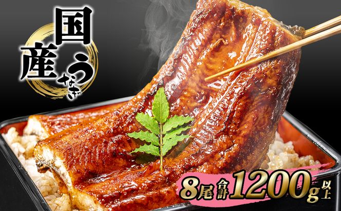 y錧SzK2393 Y Ȃ Ă `̃^ 4xĂ 8 v1,200gȏ ȈՕ ^ R t