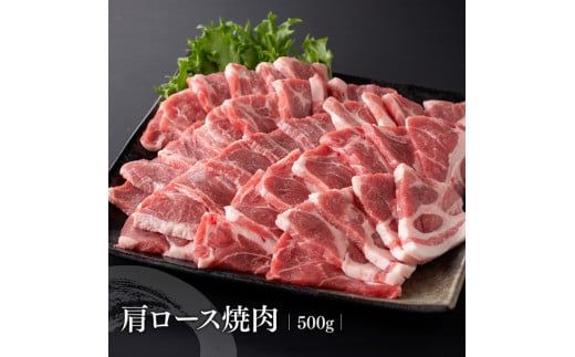 宮崎県産豚肉 小野さんちの"豚肉５種セット” 2.5kg 【 豚肉 豚 肉 宮崎県産 しゃぶしゃぶ 焼肉 セット 和洋中 】 [E10506]