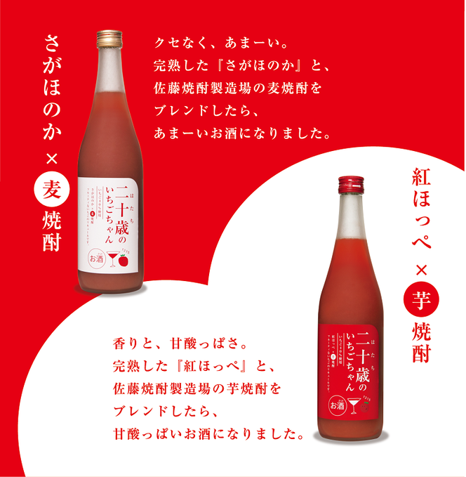 二十歳のいちごちゃん リキュール 飲み比べ 2本セット 贈答用 成人祝い　N085-ZA727