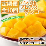 【130691】＜定期便・全10回＞鹿児島県産！南国の恵み！完熟マンゴー(1回のお届け1kg・2～3個入り)【甘宮】