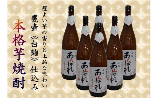 焼酎 芋 あくがれ白麹（1800ml×6本) [七福酒店 宮崎県 日向市 60-05] 甕壷 本格焼酎 白麹