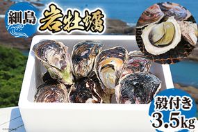 【期間限定発送】岩牡蠣 殻付き 細島 岩ガキ 約3.5kg [道の駅日向 宮崎県 日向市 452060570] いわがき 岩がき 牡蠣 日豊海岸 濃厚 クリーミー