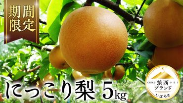 【 JA 北つくば 】 筑西ブランド 認証品 にっこり ( 梨 ) 5kg 果物 フルーツ なし ナシ 和梨 [AE030ci]